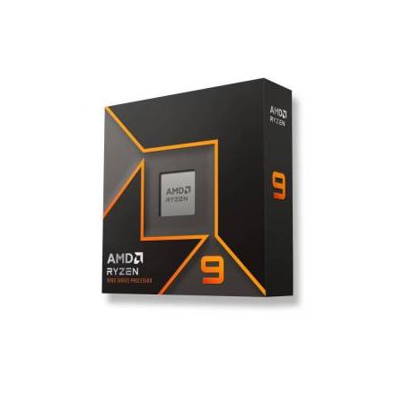 AMD Ryzen  9 9900X