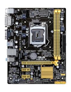 MB ASUS H81M-R 1150 M-ATX VGA HDMI DVI